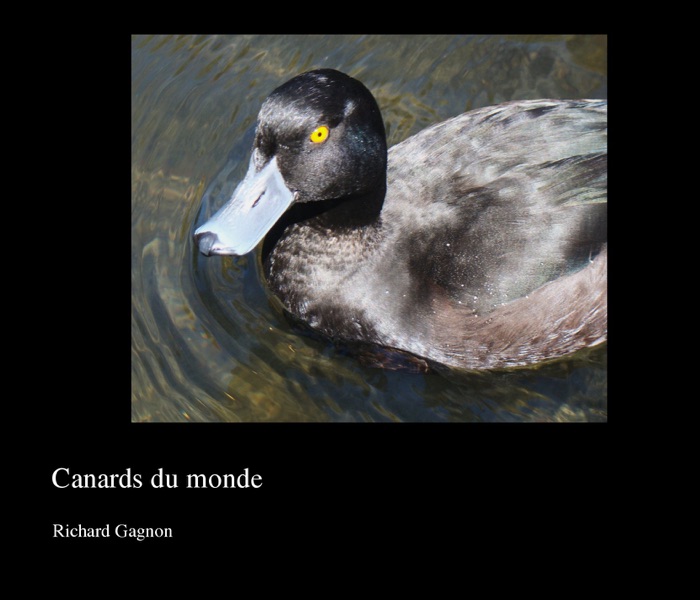 Canards du monde