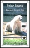 Polar Bears: Bears Of Ice And Sea: Educational Version
