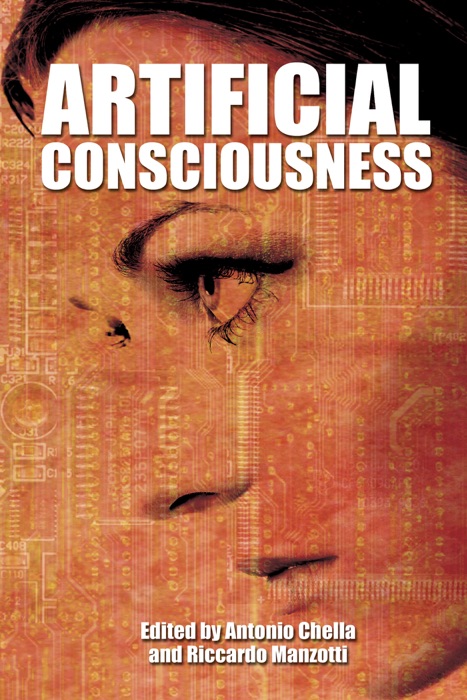 Artificial Consciousness