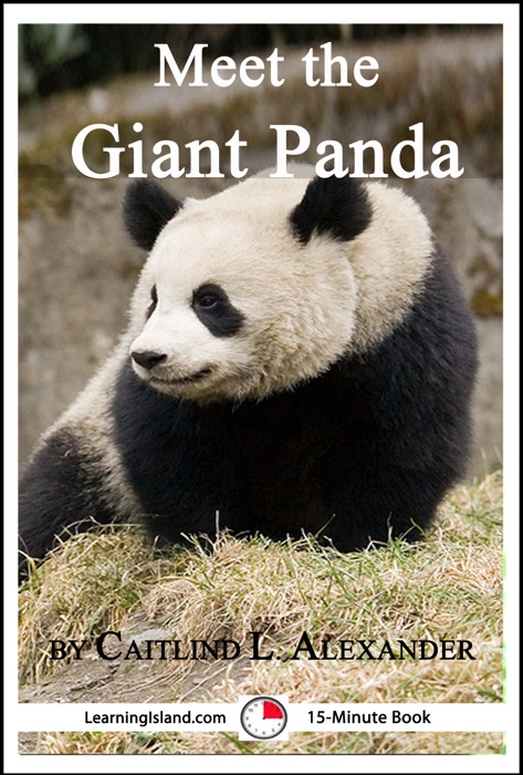 Meet the Giant Panda: A 15-Minute Book