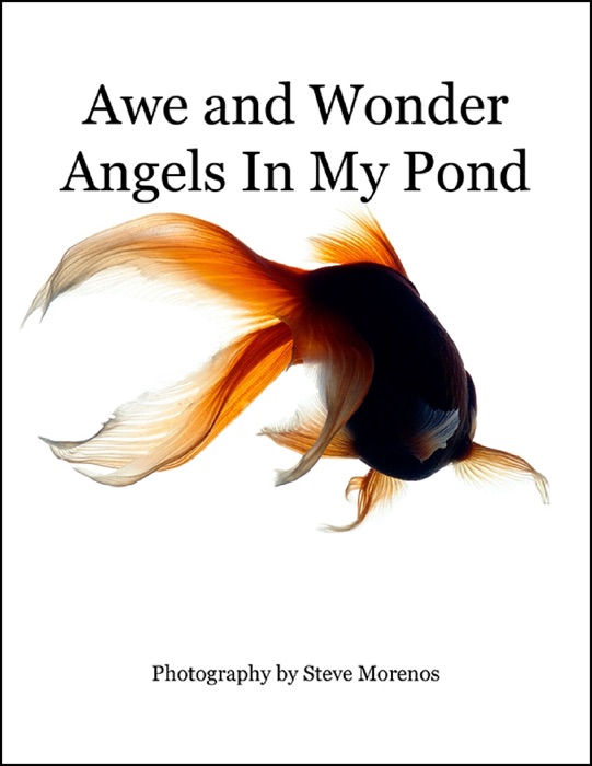 Awe and Wonder Angels In My Pond