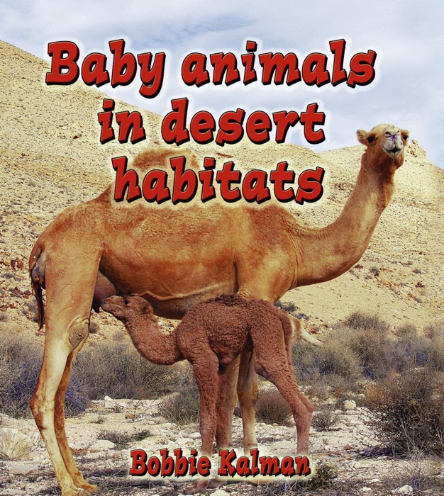 Baby animals in desert habitats