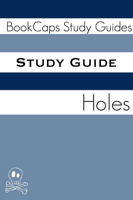Study Guide: Holes