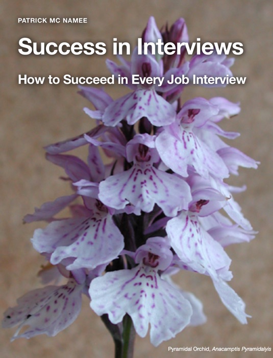 Success in Interviews