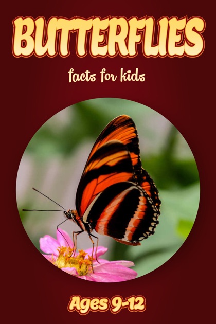 Butterfly Facts For Kids 9 12 By Cindy Bowdoin On Apple Books