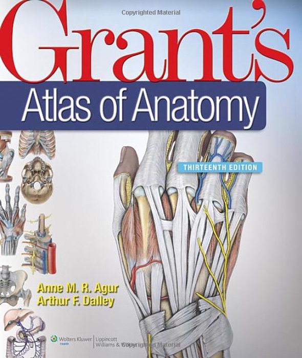 Grant's Atlas of Anatomy: Thirteenth Edition