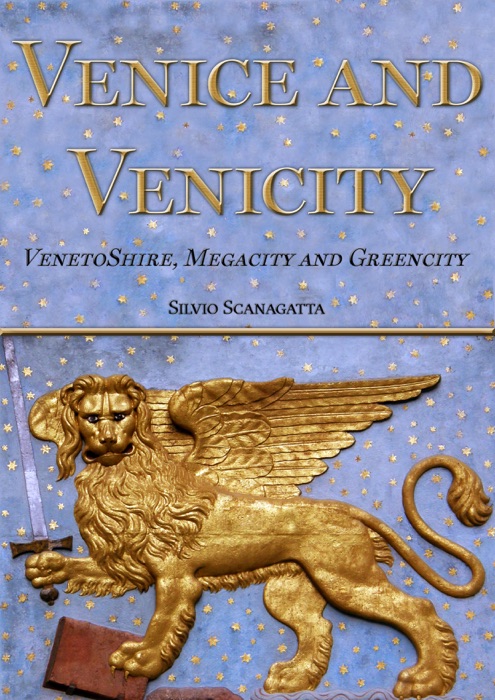 Venice and Venicity