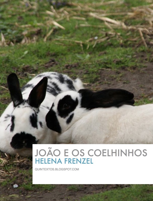 João e os coelhinhos