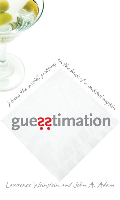 Guesstimation