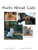 Facts About Cats - Hank Campa