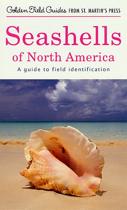 Seashells of North America