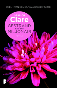 Lees PDF online Gestrand met een miljonair 