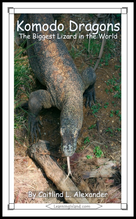 Komodo Dragons: The Biggest Lizard in the World
