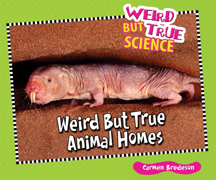 Weird But True Animal Homes