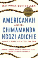 Chimamanda Ngozi Adichie - Americanah artwork