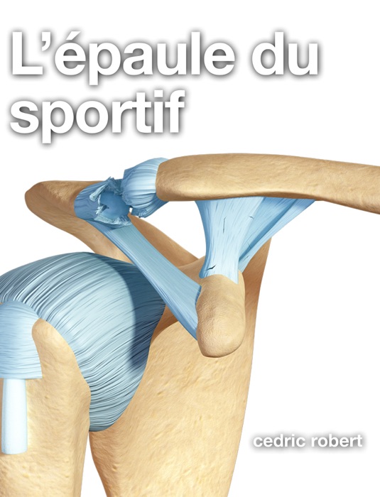 L’épaule du sportif