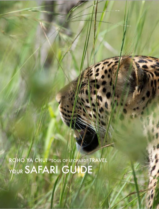 African Safari Travel Information