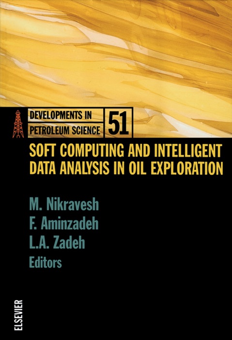 Soft Computing and Intelligent Data Analysis in Oil Exploration