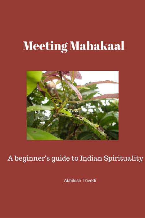 Meeting Mahakaal: A beginner's guide to Indian Spirituality