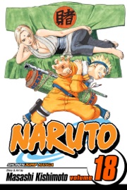 Book's Cover ofNaruto, Vol. 18