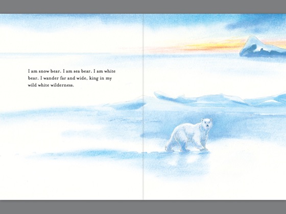 Snow Tales (Rainbow Bear and Little Albatross)