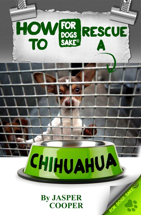 How to Rescue a Chihuahua