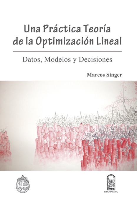 Una práctica teoría de la optimización lineal