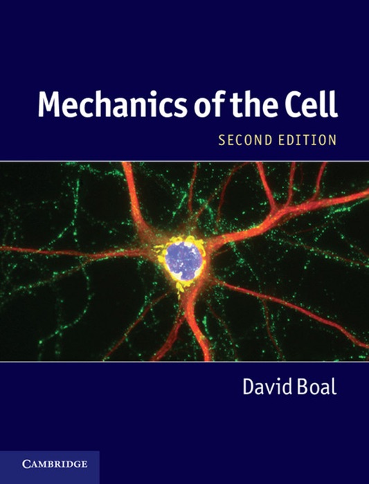 Mechanics of the Cell