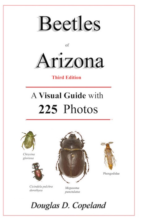 Beetles of Arizona