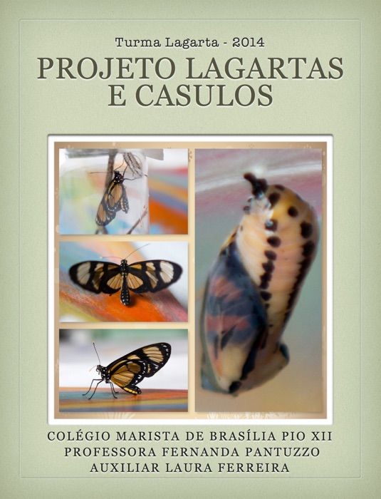 Projeto Lagartas e Casulos