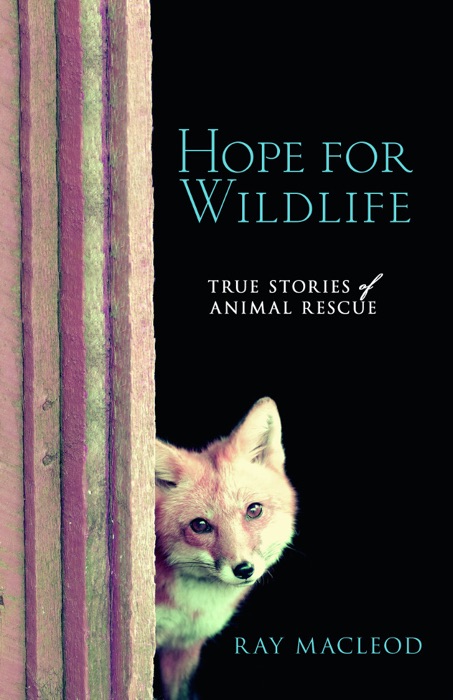 Hope for Wildlife