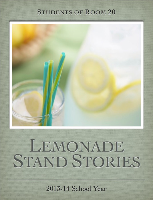 Lemonade Stand Stories