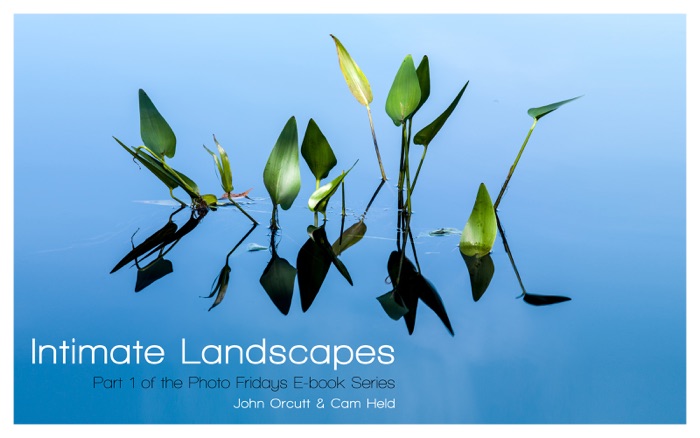 Intimate Landscapes