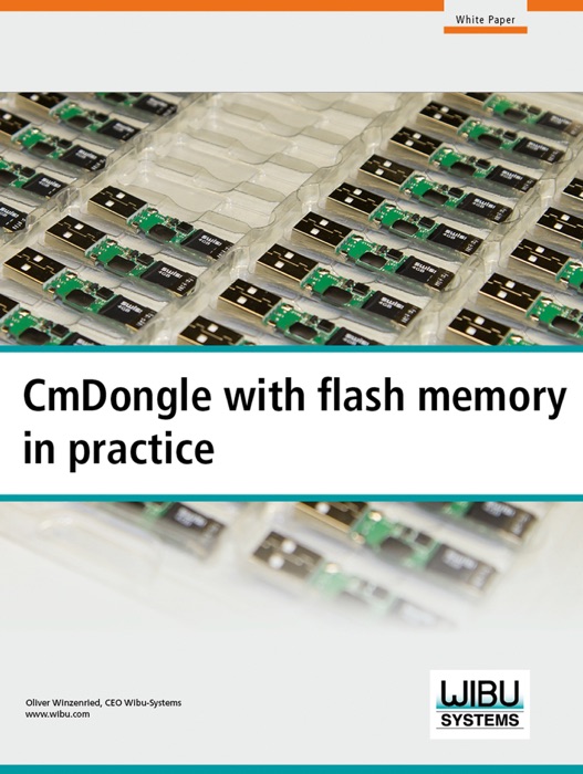 CmDongle with flash memory in practice
