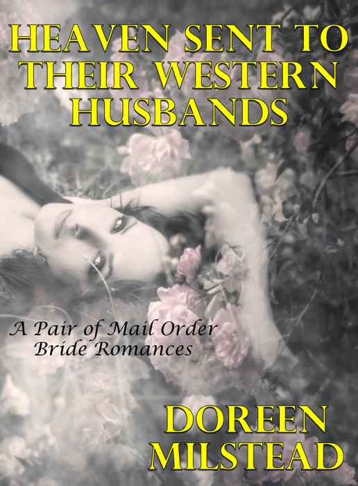 the navy seal's e-mail order bride by cora seton