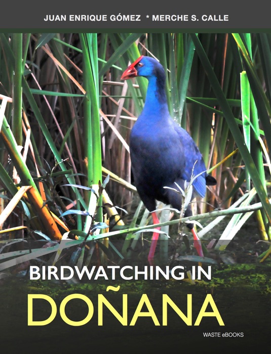 Birdwatching in Doñana