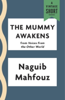 Naguib Mahfouz - The Mummy Awakens artwork