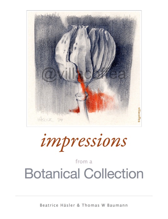 Impressions from a Botanical Collection