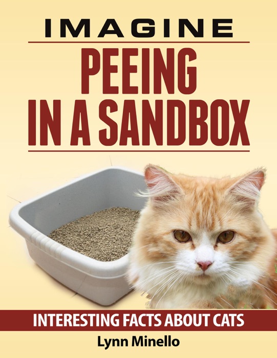 Imagine Peeing in a Sandbox - Interesting Facts about Cats