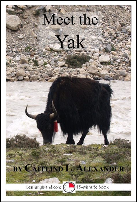 Meet the Yak: A 15-Minute Book for Early Readers
