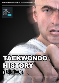 Taekwondo History ( 태권도 )