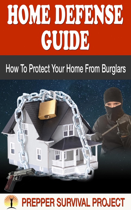 Home Defense Guide: How to Protect Your Home from Burglars