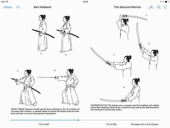 The Samurai Warrior - 