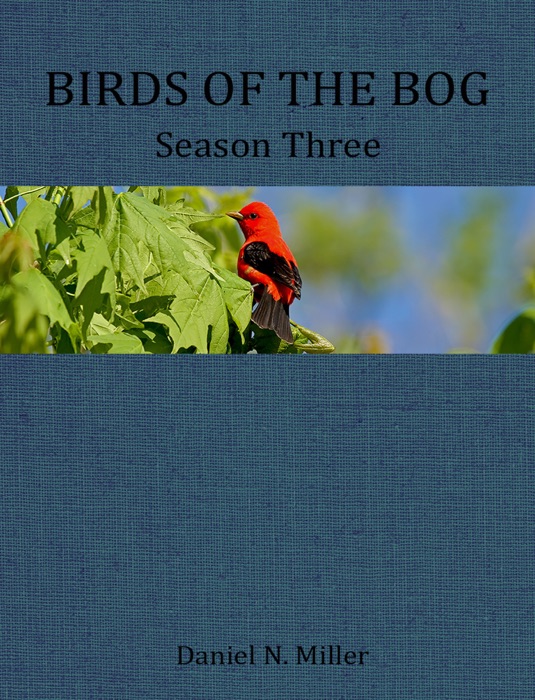 Birds of the Bog Season Three