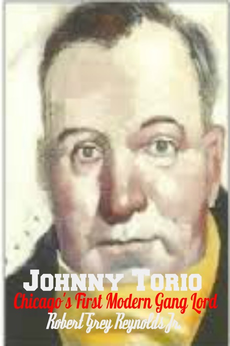 Johnny Torrio Chicago's First Modern Gang Lord