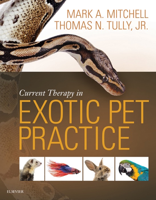 Current Therapy in Exotic Pet Practice - E-Book