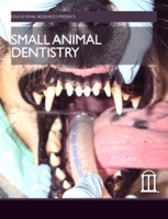 Small Animal Dentistry