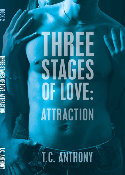Three Stages of Love: Attraction