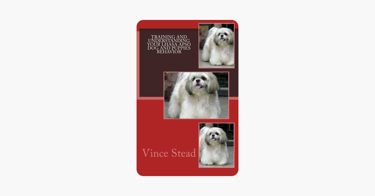 Training And Understanding Your Lhasa Apso Dog Puppies Behavior Training And Understanding Your Lhasa Apso Dog Puppies Behavior