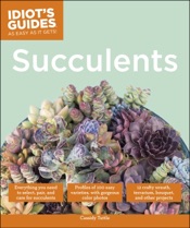 Succulents